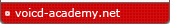 voiceacademy.net